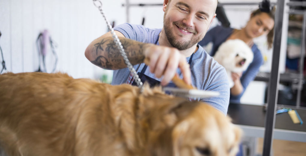 Pet Grooming Care